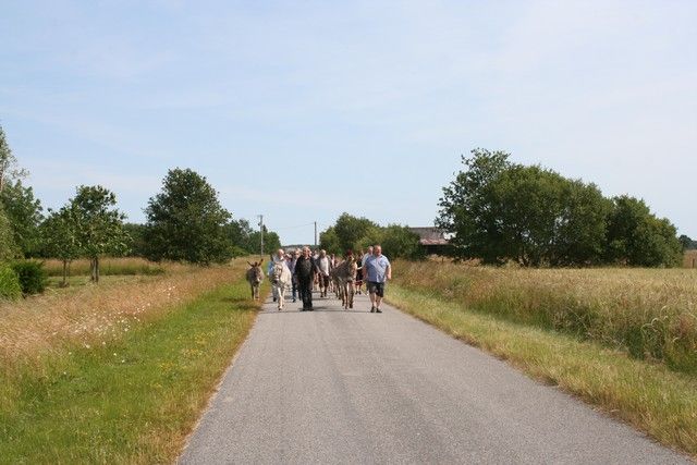 2015-07-06 rando anes (19).JPG